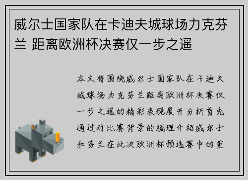威尔士国家队在卡迪夫城球场力克芬兰 距离欧洲杯决赛仅一步之遥
